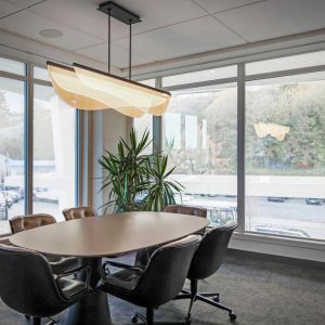 Modern conference room with a round table, five black chairs, a large potted plant, and wide windows providing natural light and views of trees and parked cars outside. A stylish ceiling light hangs above the table.