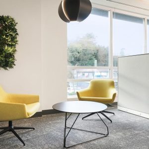 Modern office lounge with two yellow chairs, a round black coffee table, a wall-mounted plant display, a floor plant, and large windows letting in natural light.