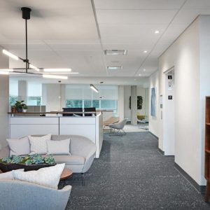 Modern office space with light gray walls, contemporary furniture including armchairs and a wooden cabinet, green plants, and large windows letting in natural light. The environment appears clean and inviting.