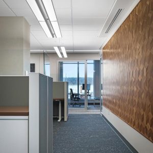 A modern office hallway with a geometric wooden accent wall, blue-gray carpet, ceiling lights, desks to the side, and glass doors leading to a conference room with a view of water and trees outside.