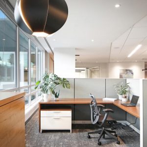 A modern office workspace with a wooden desk, office chair, laptop, potted plant, and cabinet, separated by light gray partitions. Large windows let in natural light, and a black pendant lamp hangs above.